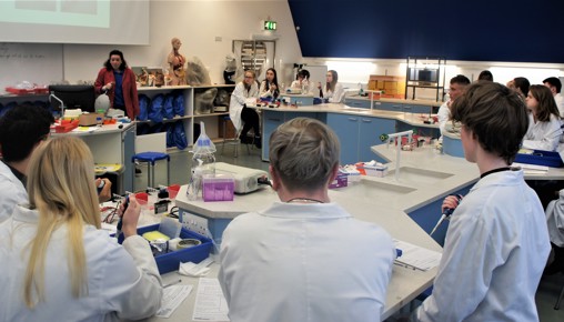 Biology DNA Workshop 4